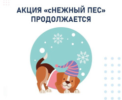 Зоозащитная акция "сНежный пес Зоозащитная акция "сНежный пес.