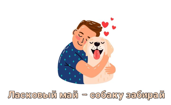 Зоозащитная акция "Ласковый май - собаку забирай" Зоозащитная акция "Ласковый май - собаку забирай".